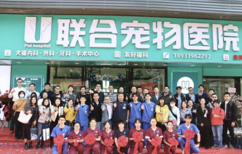 联合宠物医院总部地址