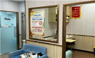 安宠宠物医院怎么样