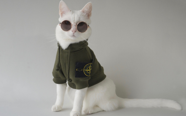 offwhite宠物衣服怎么样 offwhite宠物衣服怎么样
