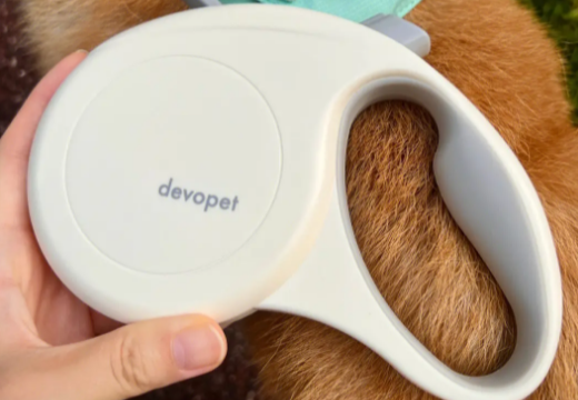 Devopet缇沃怎么样
