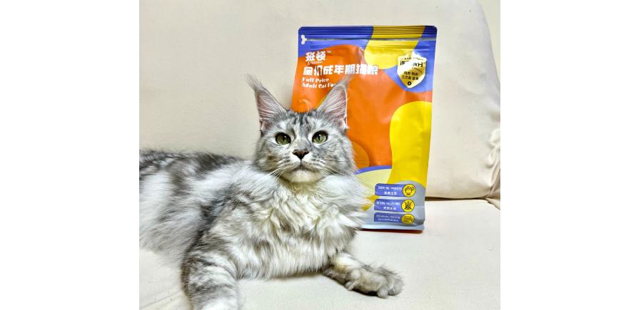 班顿猫粮是高端粮吗 班顿猫粮是高端粮吗