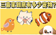 古灵精怪的三喜到底和多少宠物一起生活?
