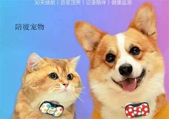 陪彼宠物app下载 陪彼宠物app下载