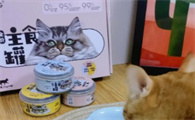 纽衡猫罐头可以买吗