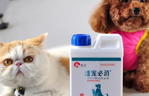 猫狗消毒液能用在人的房间消毒 猫狗消毒液能用在人的房间消毒