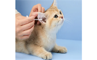 猫咪用什么耳朵清洗液好