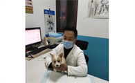 乖乖宠物医院加盟