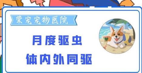 荣宠宠物医院经营范围 荣宠宠物医院经营范围