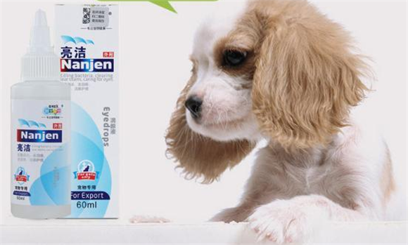 亮洁宠物洁眼液价格