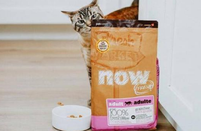 nowfresh猫粮怎么样 nowfresh猫粮怎么样