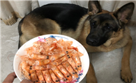 狗狗能不能吃虾？