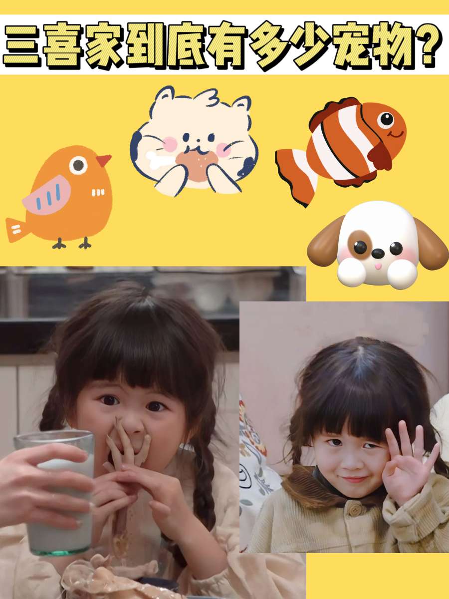 古灵精怪的三喜到底和多少宠物一起生活？