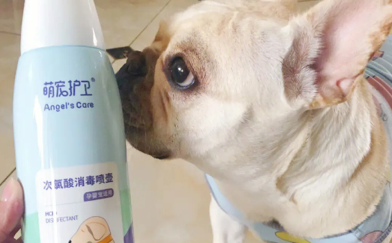 萌宠护卫次氯酸能杀新冠吗 萌宠护卫次氯酸能杀新冠吗
