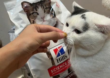 希尔斯猫粮好不好 希尔斯猫粮好不好