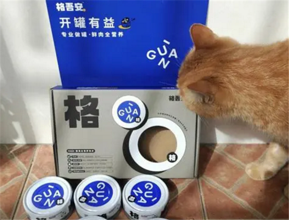 格吾安罐头在哪买