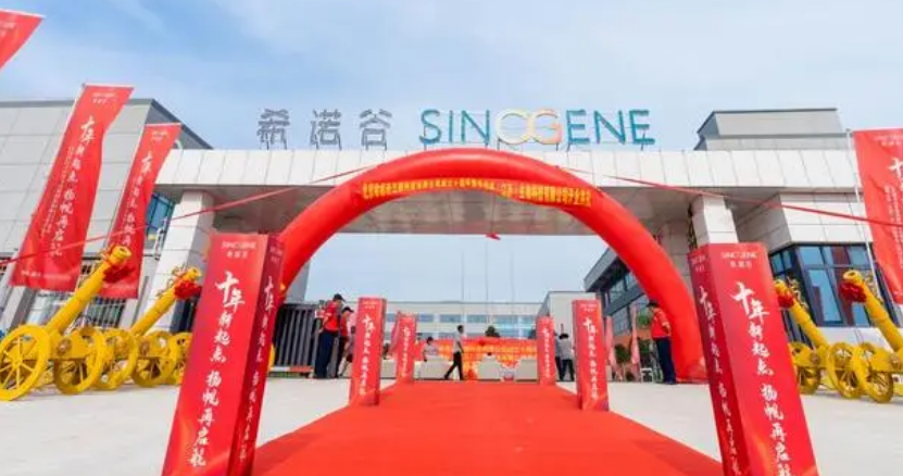 新沂希诺谷公司怎么样 新沂希诺谷公司怎么样