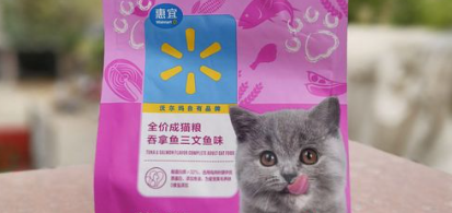 惠宜猫粮怎么样