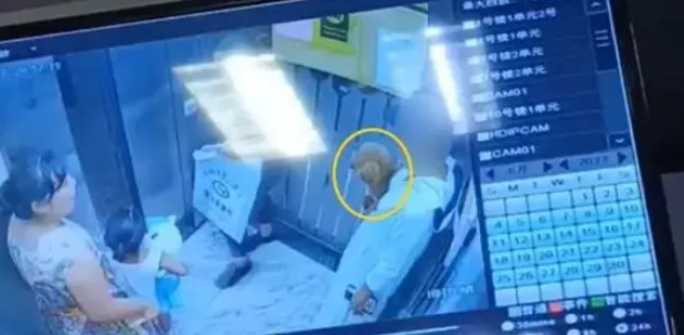 不栓狗绳的狗主人,在电梯里因宠物狗被叫“畜生”怒了? 不栓狗绳的狗主人,在电梯里因宠物狗被叫“畜生”怒了?