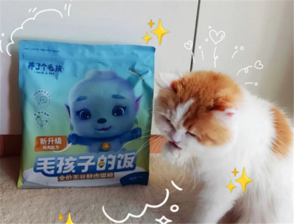 养了个毛孩猫粮热量