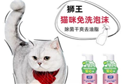 狮王免洗泡沫给猫洗澡