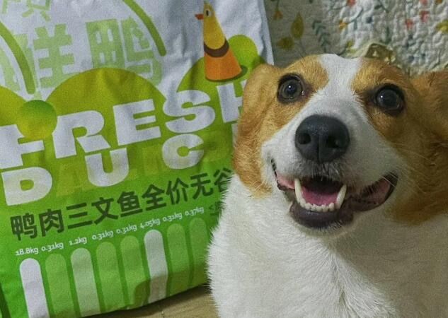 派膳师狗粮有真伪吗 派膳师狗粮有真伪吗