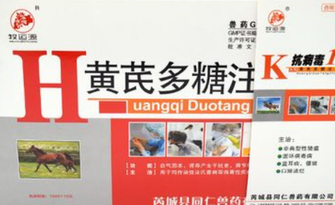 黄芪多糖和多维哪个好 黄芪多糖和多维哪个好