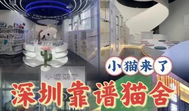 小猫来了猫舍怎么样 小猫来了猫舍怎么样