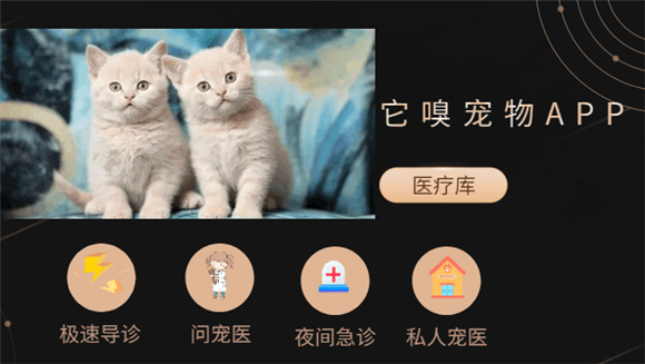 它嗅宠物这个app怎么样 它嗅宠物这个app怎么样