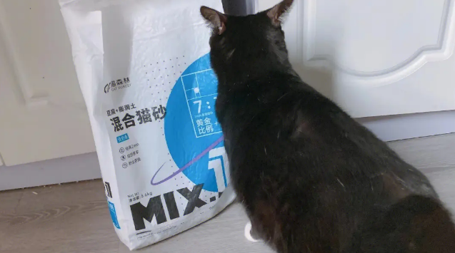 猫森林猫砂怎么样 猫森林猫砂怎么样