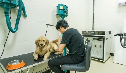 抚顺宠物医院哪家最好 抚顺宠物医院哪家最好