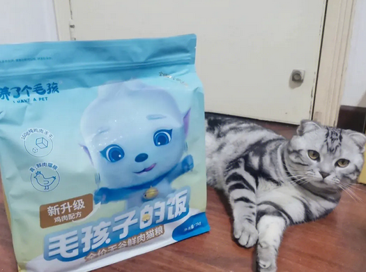 养了个毛孩子猫粮怎么全部下架了