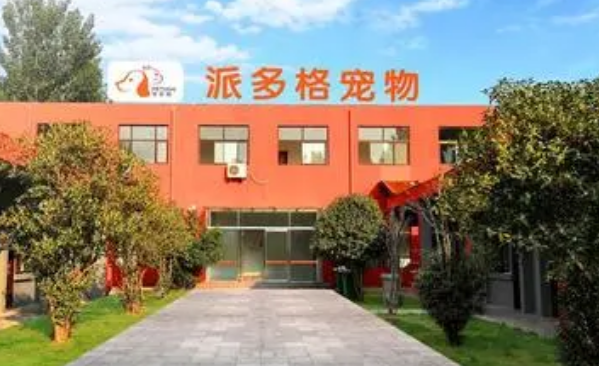 派多格宠物学校学费大概多少 派多格宠物学校学费大概多少
