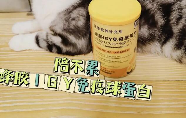 陪不累免疫球蛋白粉怎么样 陪不累免疫球蛋白粉怎么样