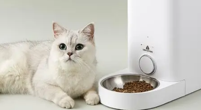 美芙宠物喂食器怎么用 美芙宠物喂食器怎么用