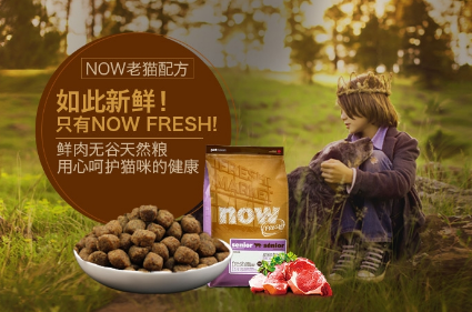 now fresh是什么牌子 now fresh是什么牌子