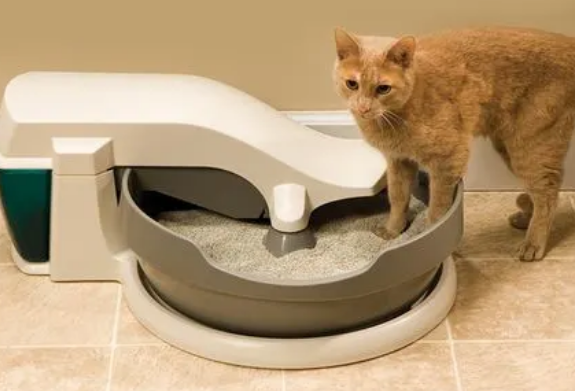 贝适安猫砂盆传输带完全不动
