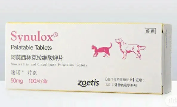 速诺为什么那么贵