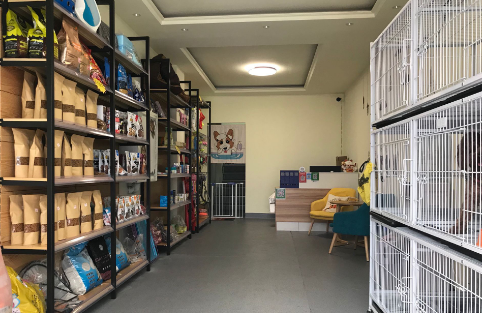厦门宠物店寄养宠物多少钱一天