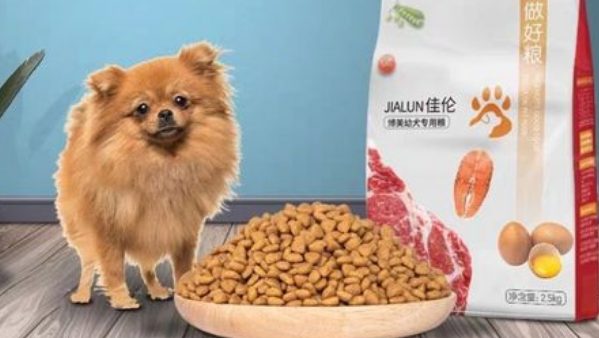 博美狗粮怎么选