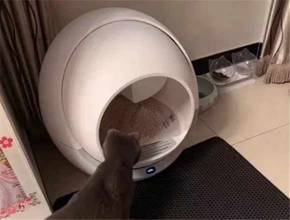 petree自动猫砂盆怎么复位 petree自动猫砂盆怎么复位