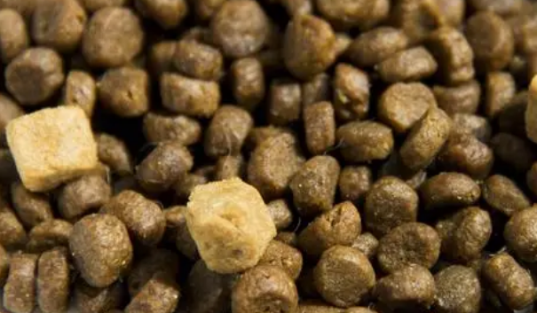 爱普士猫粮好吗 爱普士猫粮好吗