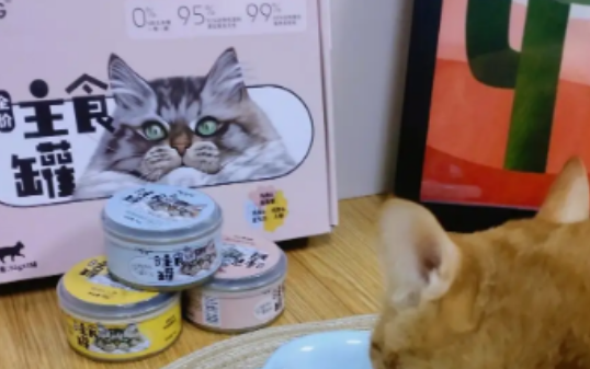 纽衡猫罐头可以买吗