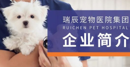 瑞辰宠物医院集团跟瑞鹏有关系吗