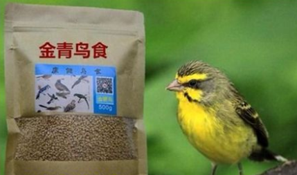 金青鸟最好饲料