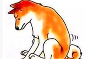 比屎臭N倍的肛门腺，到底该不该挤？