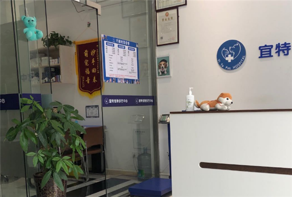 宜特宠物医院怎么样