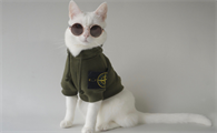 offwhite宠物衣服怎么样