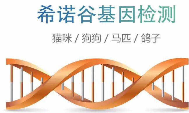 希诺谷基因检测免费是真的吗