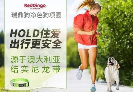 瑞鼎狗是什么品牌 瑞鼎狗是什么品牌
