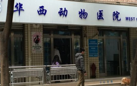 成都比较好的宠物医院